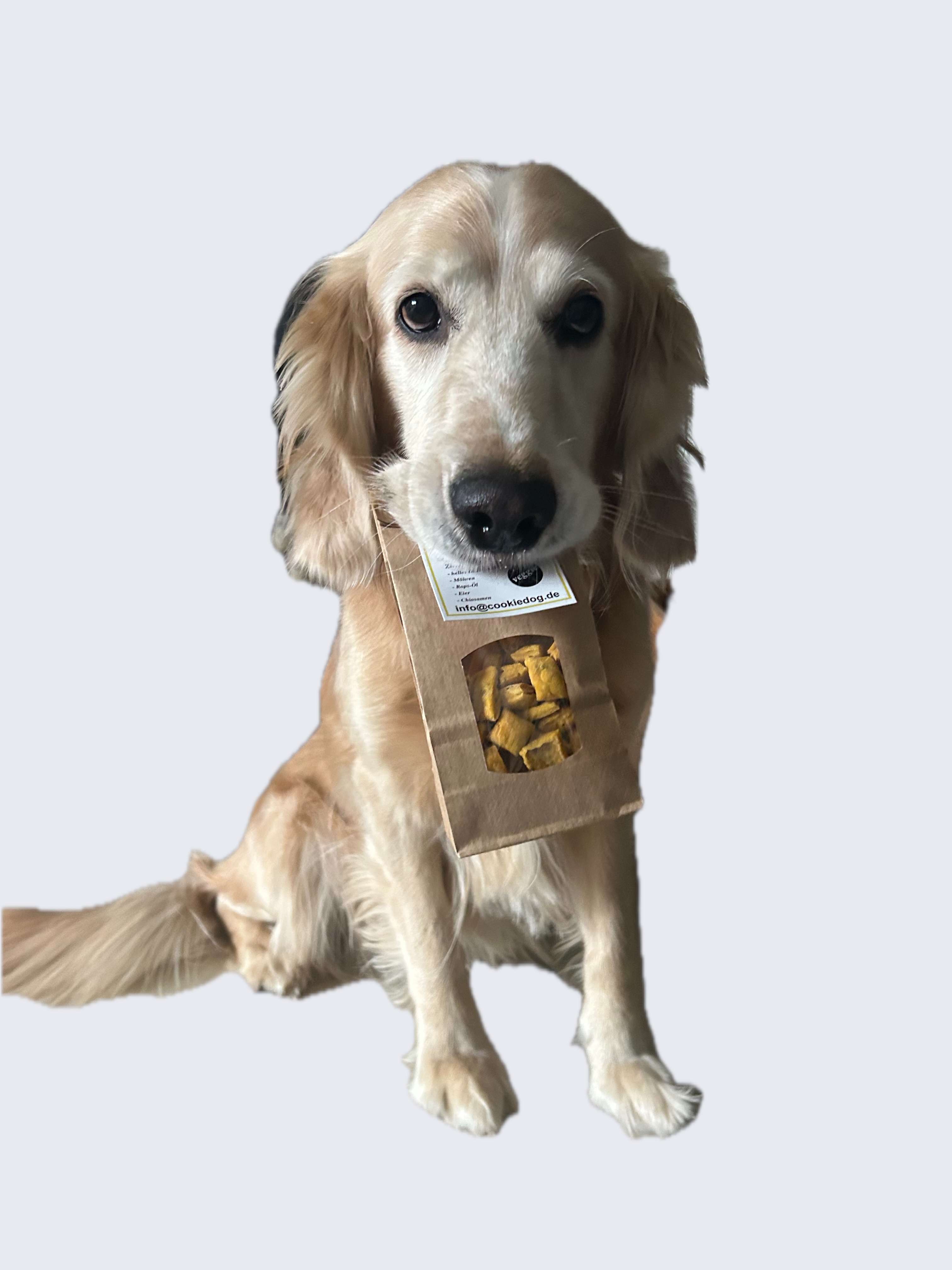 Sam
